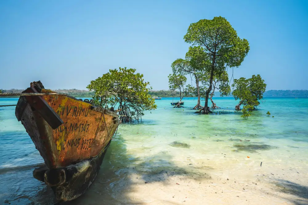 Port Blair | Havelock | Neil island